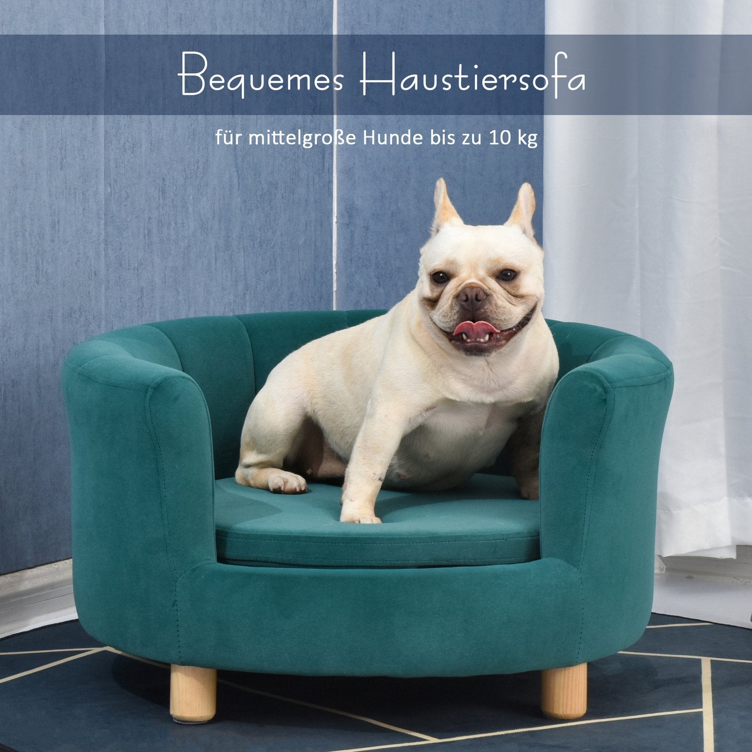 Hundeseng Elegant hundesofa med blødt betræk og træben, 65x64x37 cm