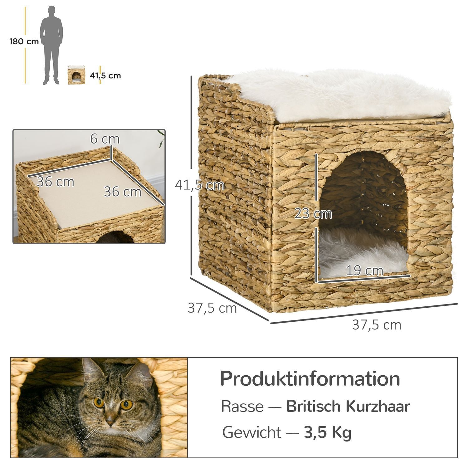 Rattan Cat Cave 2-Level Pude Vandhyacint Brun Op til 5 Kg