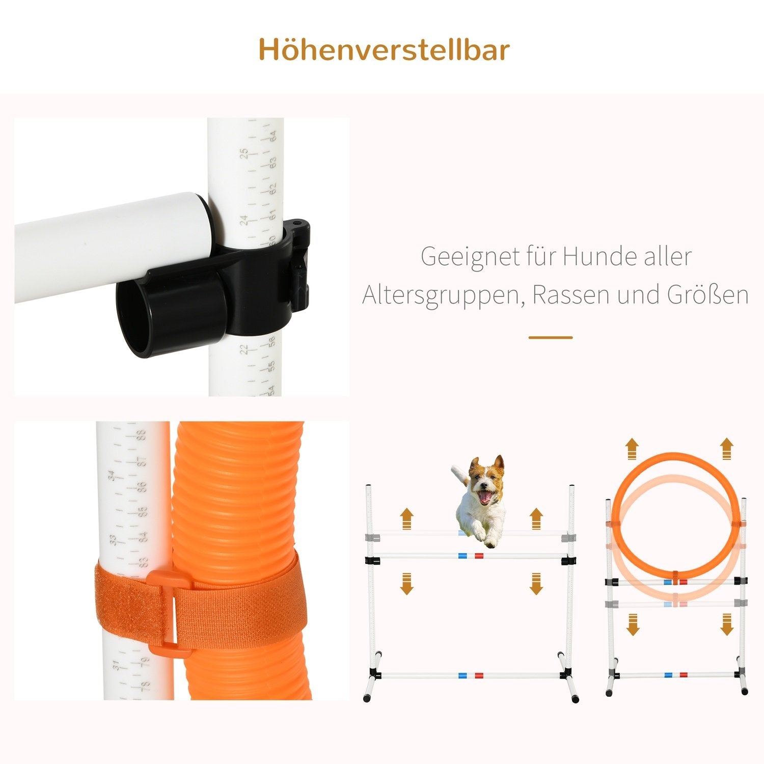 3-Delad Hund Agility Set Training For Pets Hund Training Set Inkluderar Väska Lätt Att Bära Plast Vit + Gul