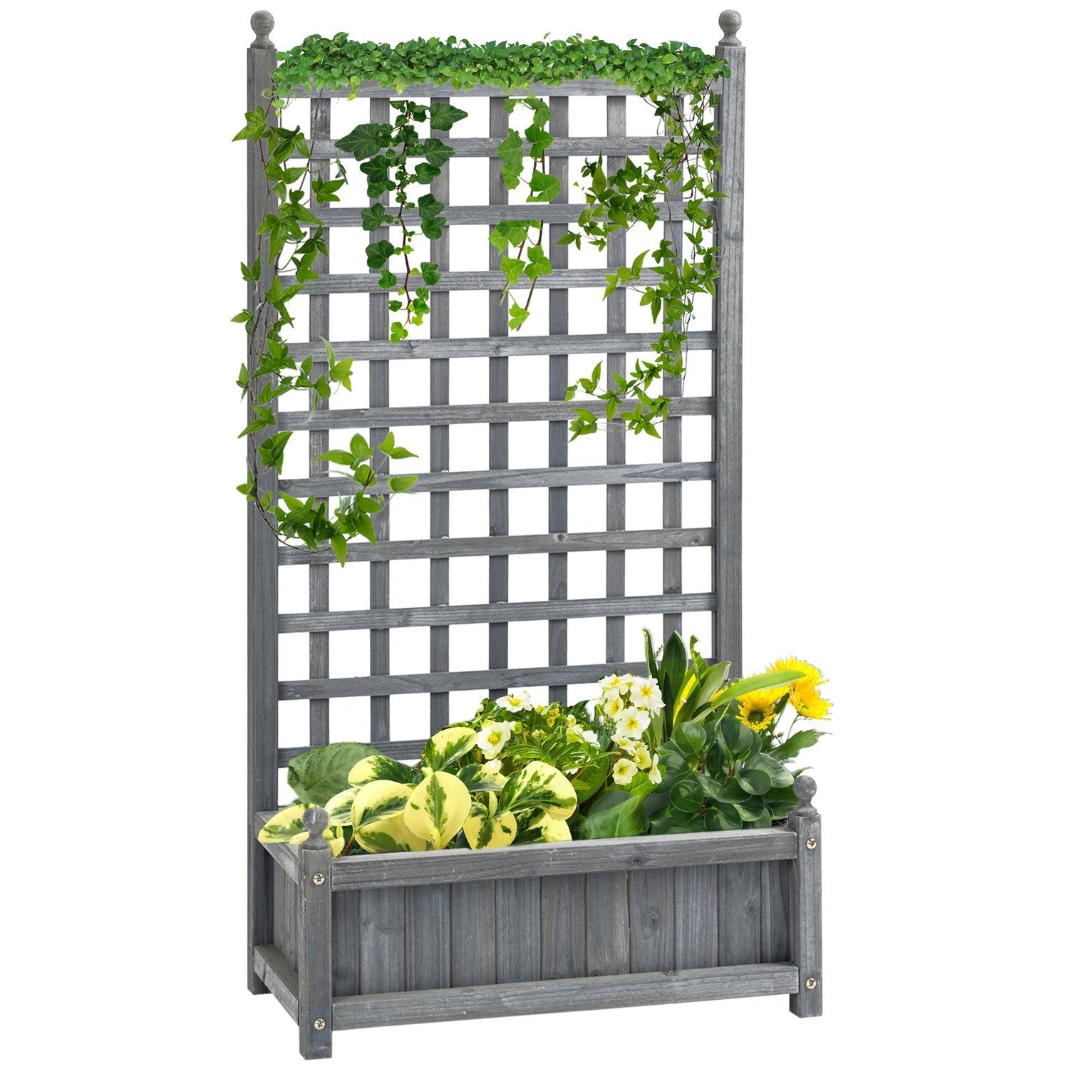 Plantekasse med espalier, blomsterkasse til klatreplanter, træ, lysegrå, 64X28X120Cm