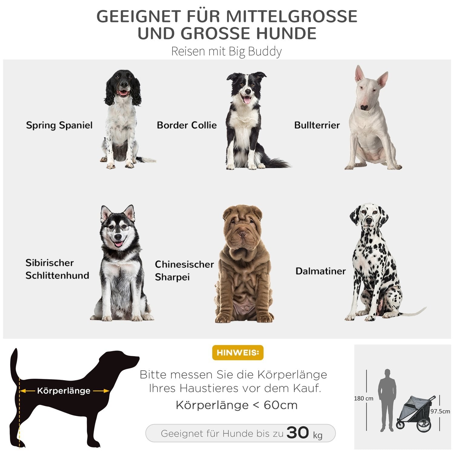 Hundeklapvogn Hundebuggy Mesh Vindue Foldbar Katteklapvogn Sikkerhedssnor Store gummihjul Op til 30 kg Oxford Grå