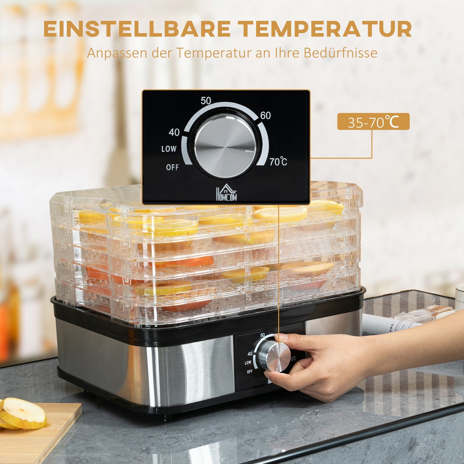 Dehydrator Med Temperaturkontroll (35-70°C) 5 Nivåer 12 Timmars Timer För Kött Frukt Rostfritt Stål Silver + Transparent 32 X 25 X 29Cm