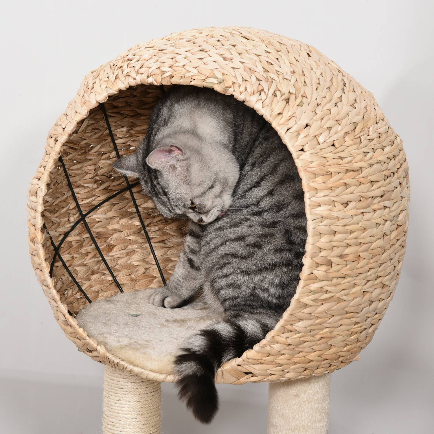 Cat Tree Skrapstolpe Kattungemöbler Med Cat Cave Ball Leksak Sisal Mjuk Plysch Beige Höjd 100Cm